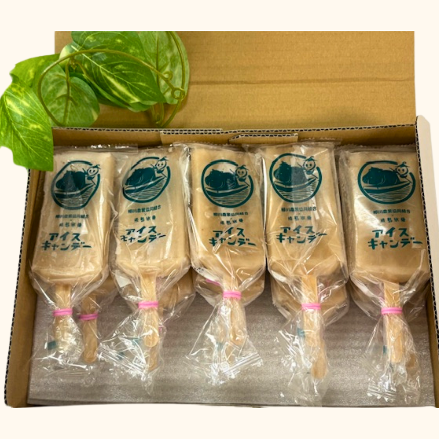 いちじくキャンデー 10本セット