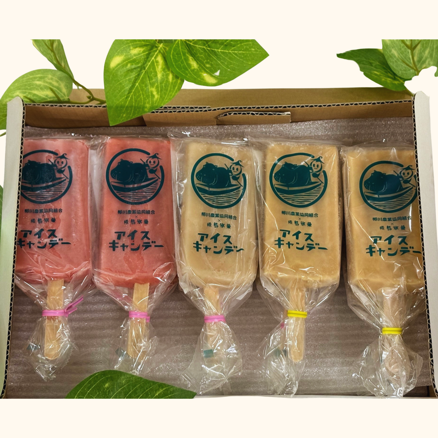 柳川アイスキャンデー詰め合わせギフト